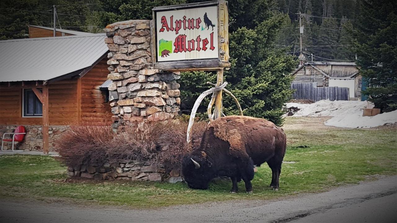 Alpine Motel Of Кук-Сити Экстерьер фото